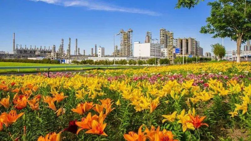 纺织印染消泡剂：揭秘其作用与选择要点